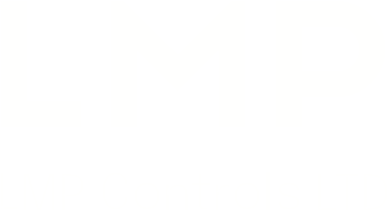 LMP Controls Limited, logo